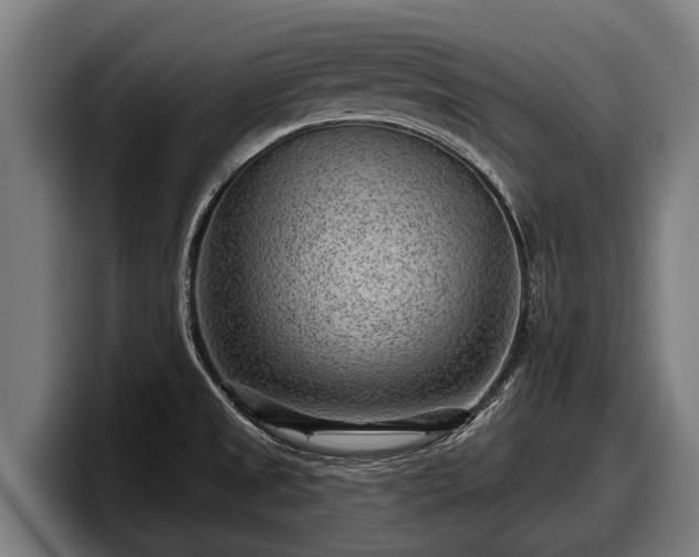 X0000097821525200803201427