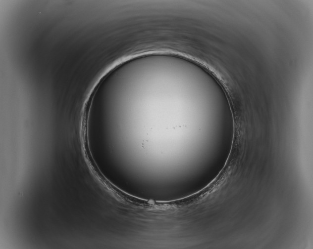 X0000097821526200803201427