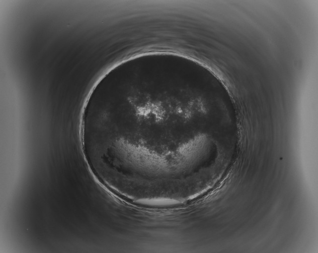 X0000097821527200803201427