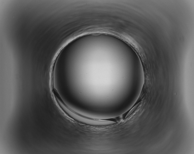 X0000097821528200803201427