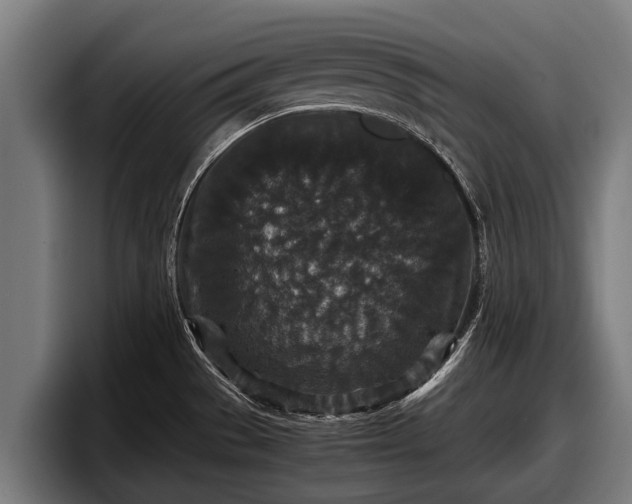 X0000097821529200803201427