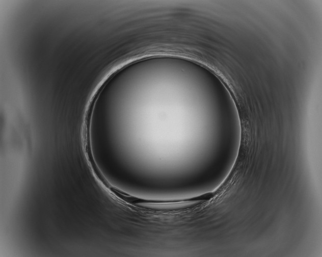 X0000097821531200803201427