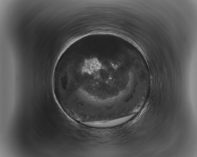 X0000097821533200803201427