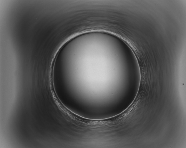 X0000097821534200803201427