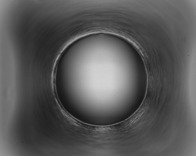 X0000097821535200803201427