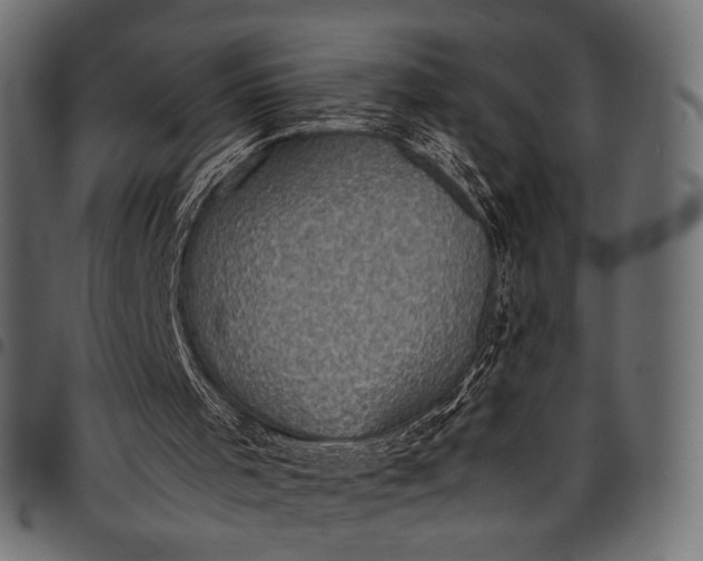 X0000097820001200803281131