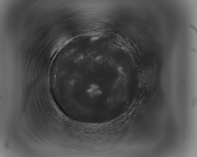 X0000097820002200803281131