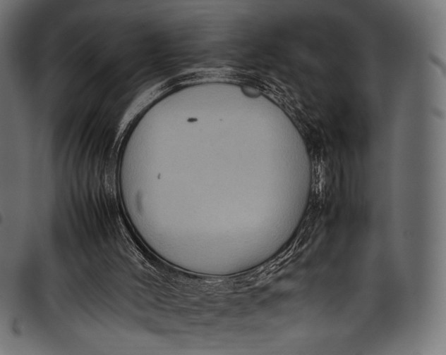 X0000097820004200803281131