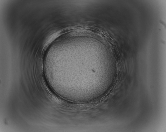 X0000097820005200803281131