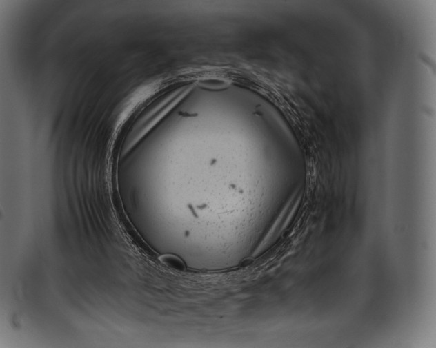 X0000097820006200803281131