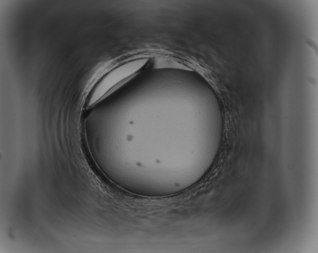 X0000097820007200803281131