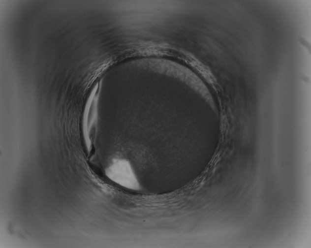 X0000097820009200803281131