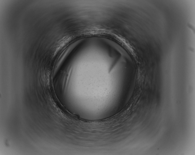 X0000097820010200803281131