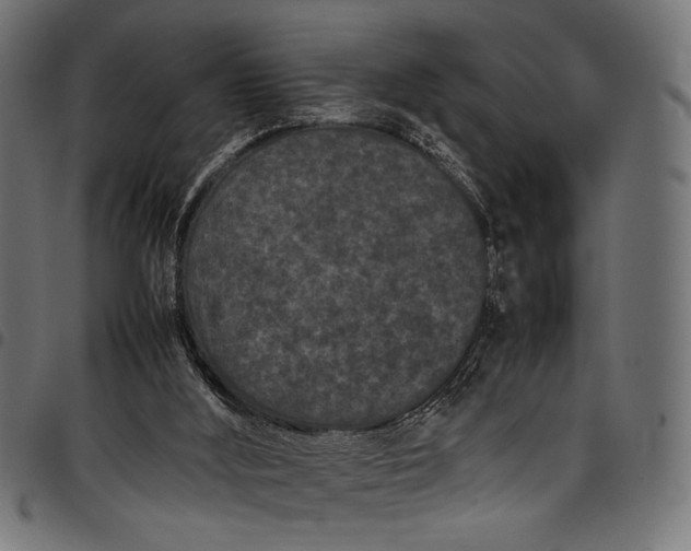 X0000097820012200803281131