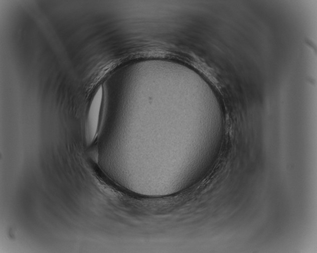 X0000097820013200803281131