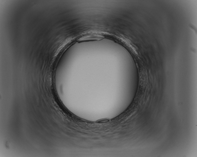 X0000097820015200803281131