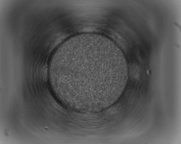 X0000097820016200803281131