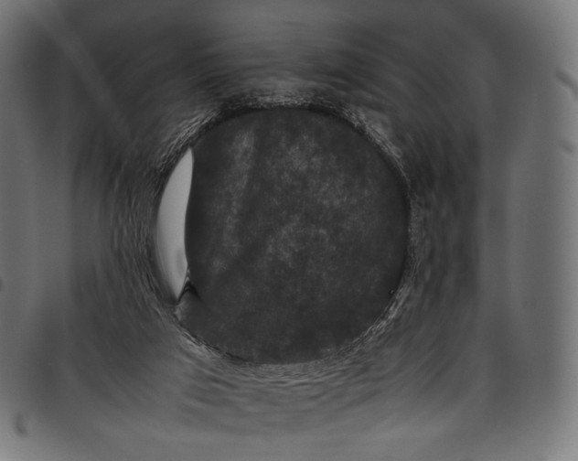 X0000097820017200803281131