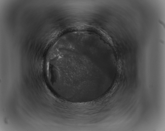 X0000097820018200803281131