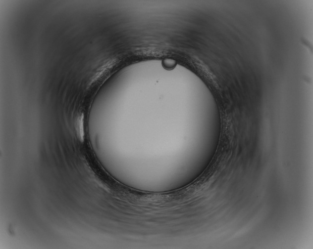 X0000097820020200803281131