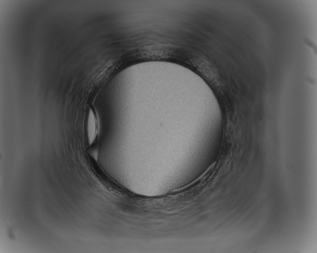 X0000097820021200803281131