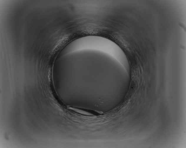 X0000097820023200803281131