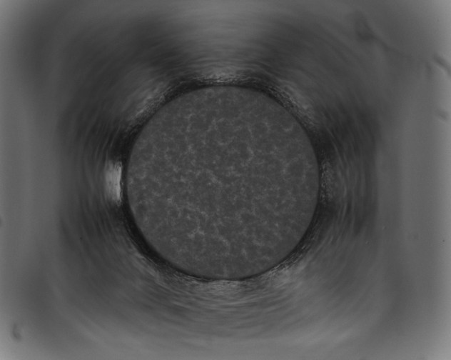 X0000097820024200803281131