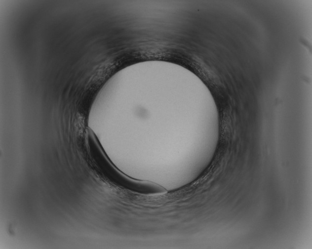 X0000097820025200803281131