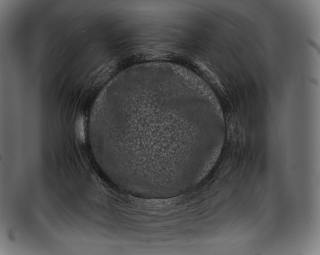 X0000097820026200803281131