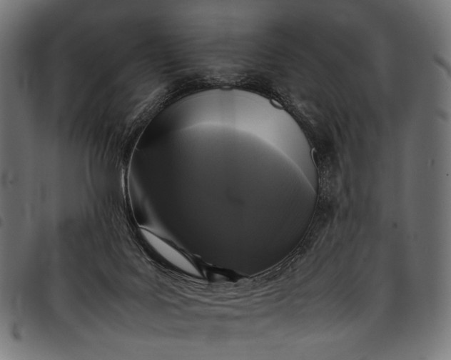 X0000097820027200803281131