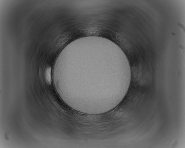 X0000097820028200803281131