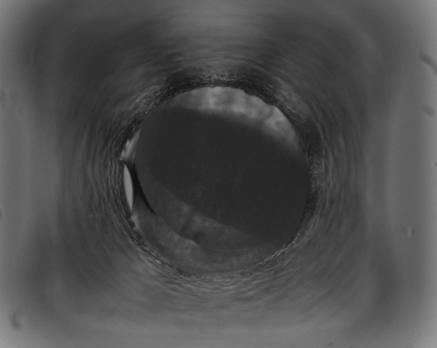 X0000097820029200803281131