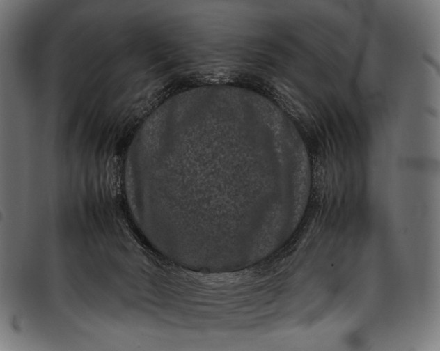 X0000097820030200803281131