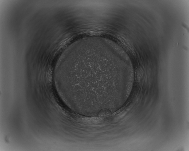 X0000097820032200803281131