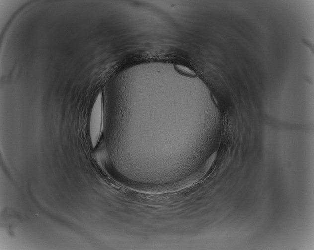 X0000097820033200803281131