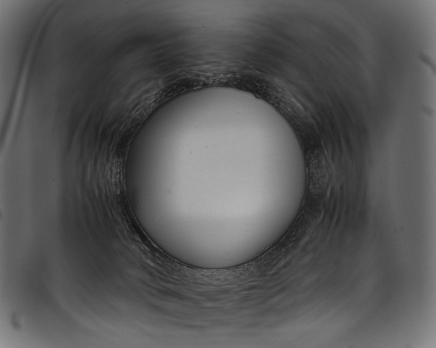 X0000097820034200803281131