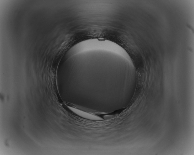 X0000097820035200803281131