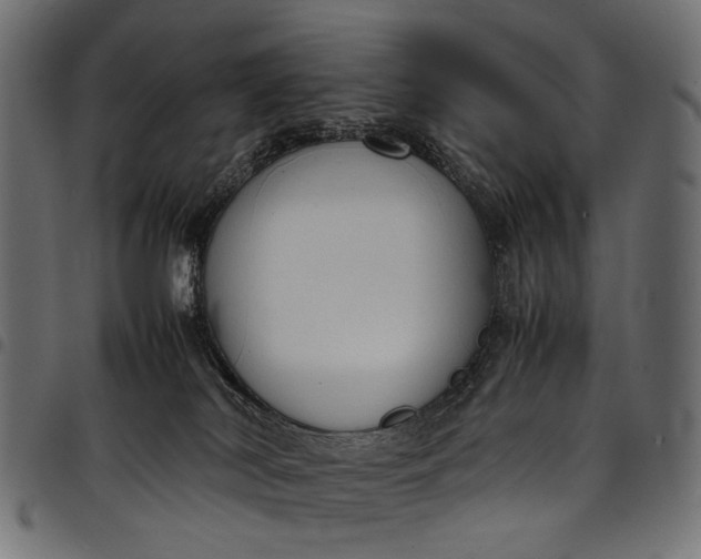 X0000097820038200803281131