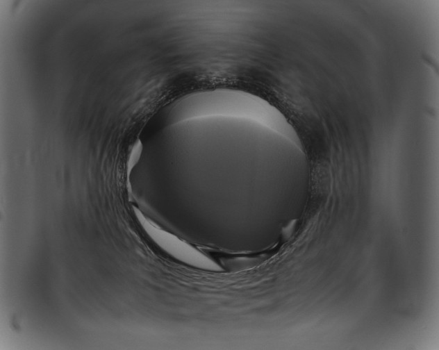 X0000097820039200803281131