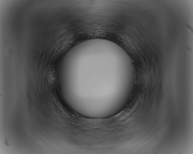 X0000097820040200803281131