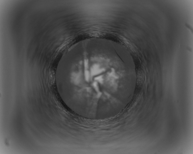 X0000097820043200803281131