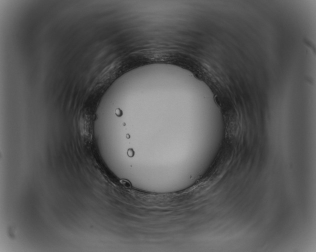 X0000097820044200803281131