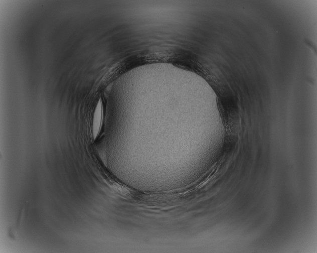 X0000097820045200803281130