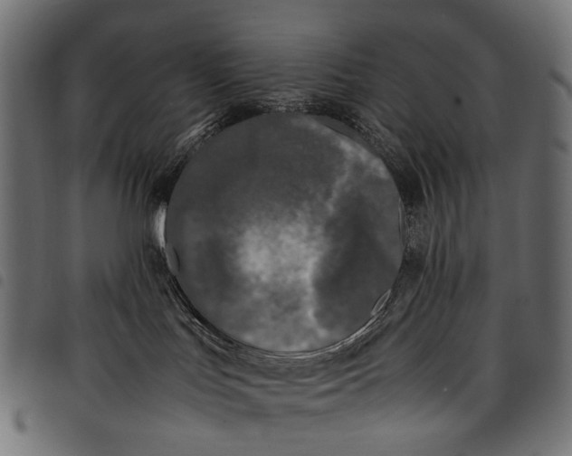 X0000097820047200803281130