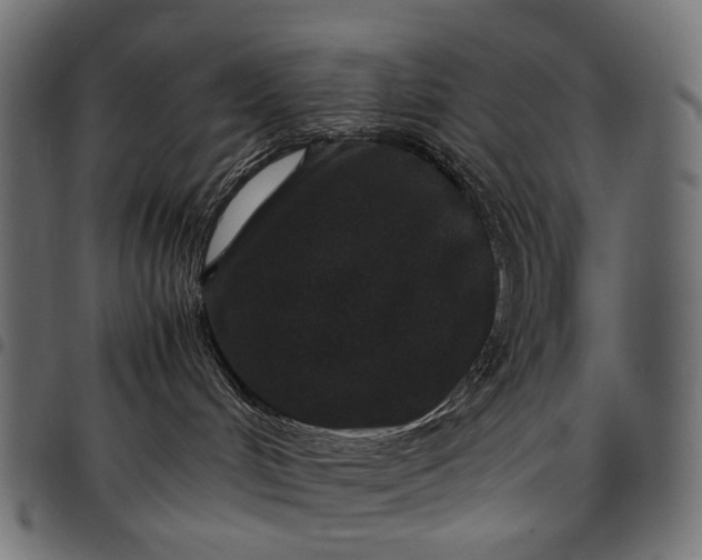 X0000097820048200803281130