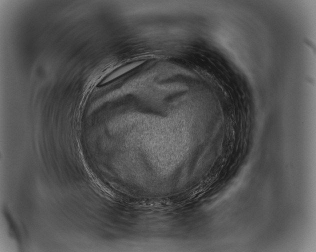 X0000097820049200803281130