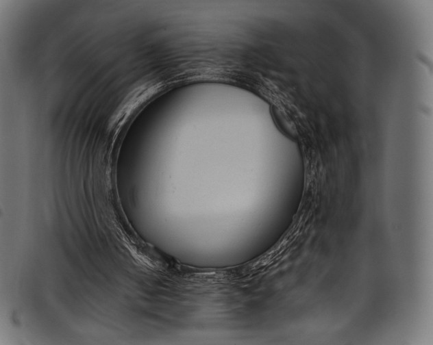 X0000097820050200803281130