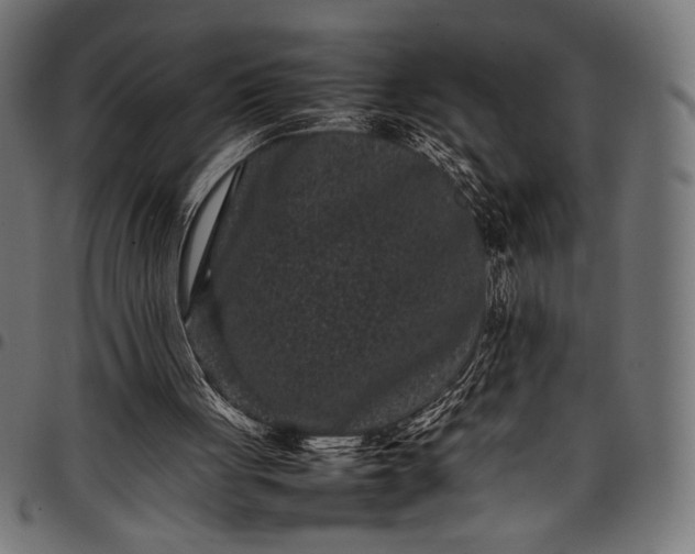 X0000097820051200803281130