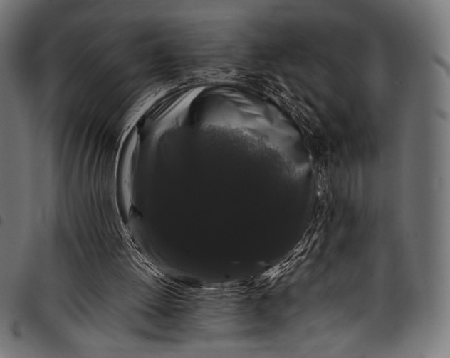 X0000097820052200803281130