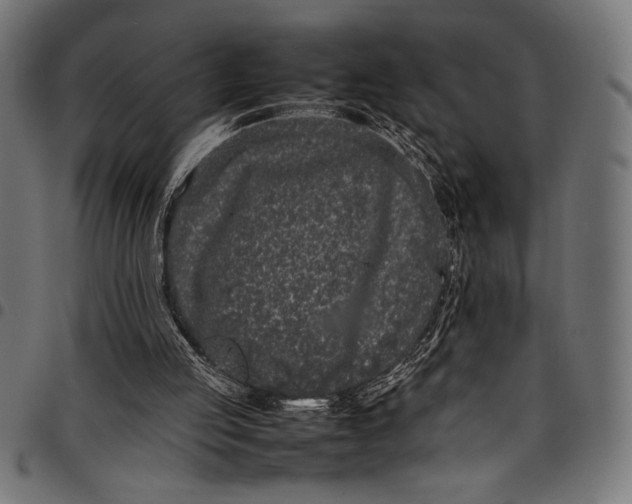 X0000097820053200803281130